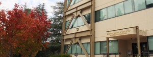 Library & Information Science | UCLA Graduate Programs