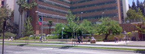 Neuroscience | UCLA Graduate Programs